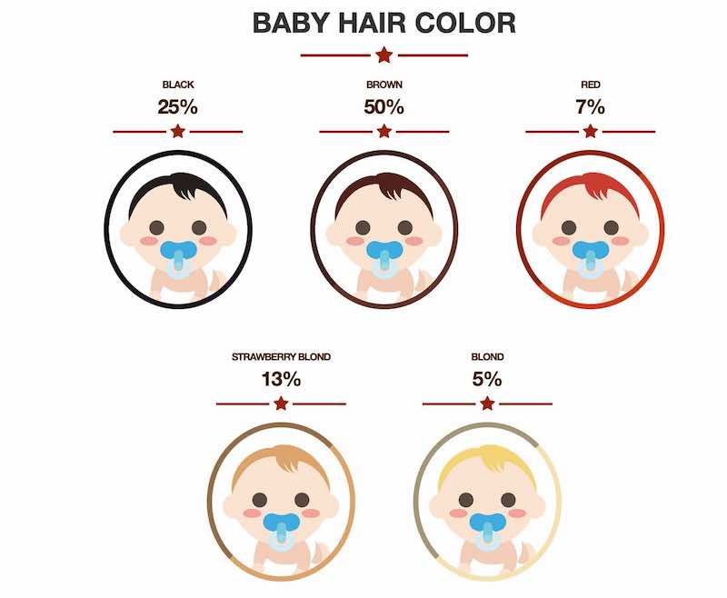 aardolie Tegenstrijdigheid meten De haarkleur van de baby voorspellen! • Doe de test - Quiz