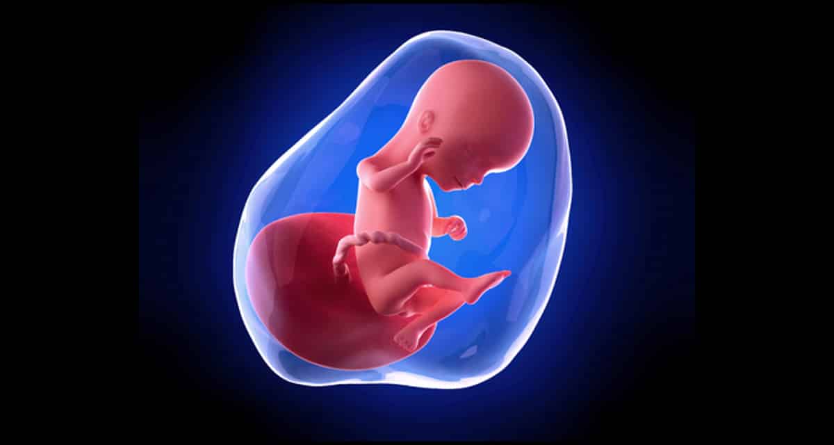 16 zwanger ▷ Je baby licht donker en geluiden waarnemen